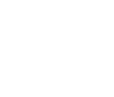 Eagle logo playing cards white